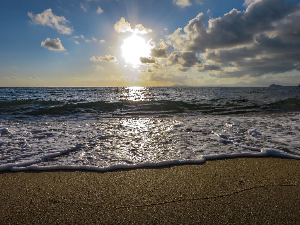 Cairns Beaches Flashpackers Palm Cove Exterior foto